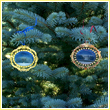 2010 White House North and South Portico Ornament Set